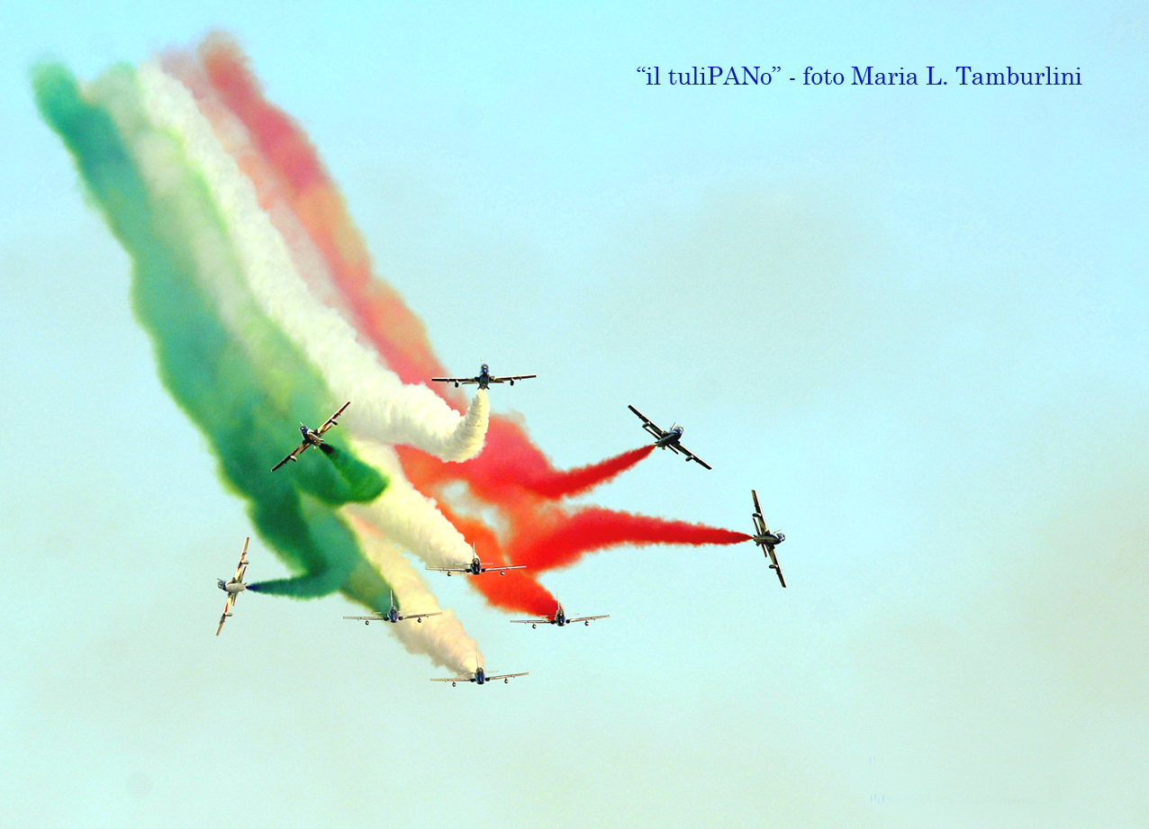 003 DSC 5048 il tuliPANo foto Maria LT PAN 2015 13 x 18 180 DPI 