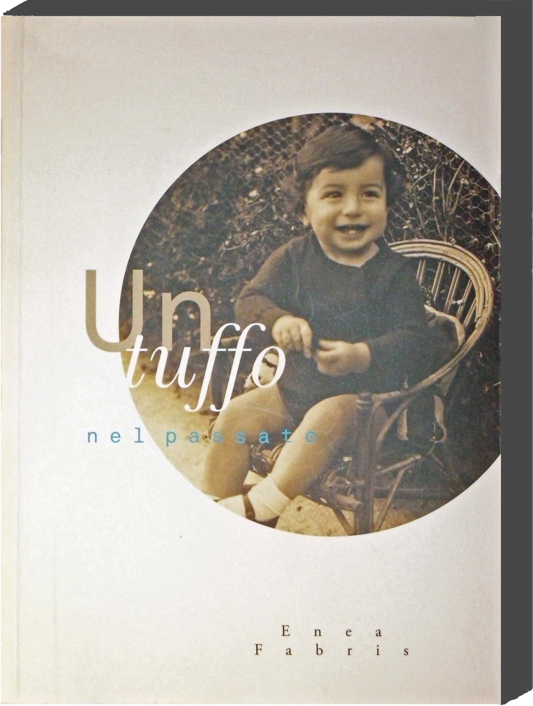 20170718 EneaFabris3