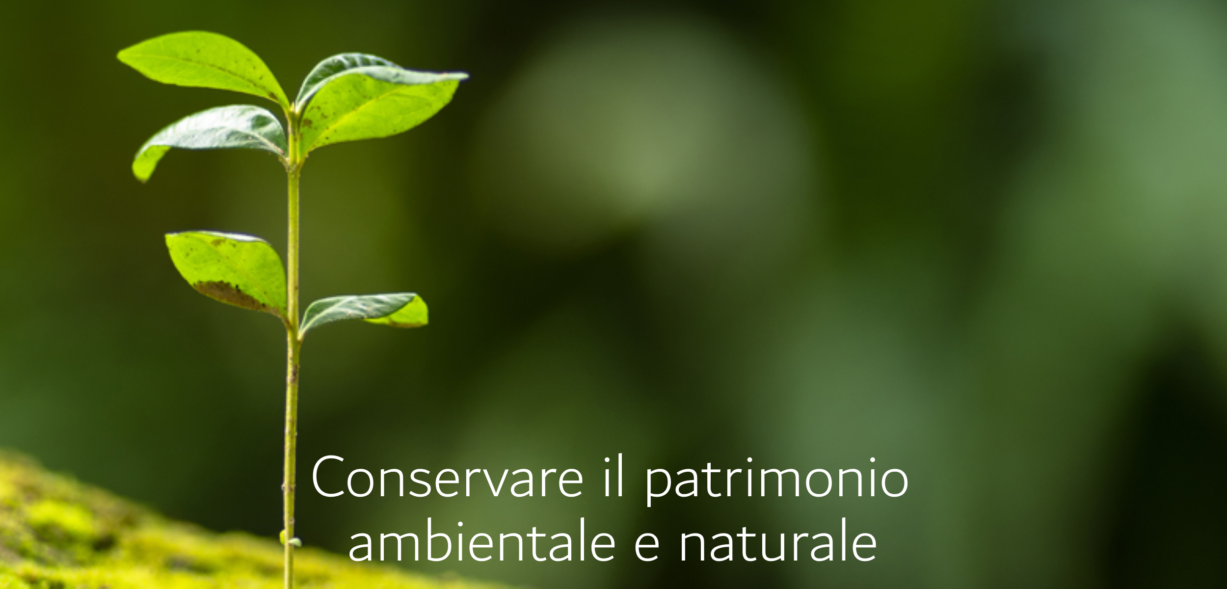 Conservare patrimonio ambientale N