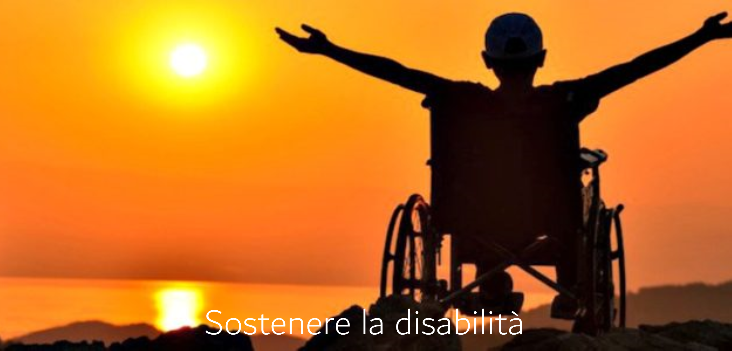 Sostenere disabilita N