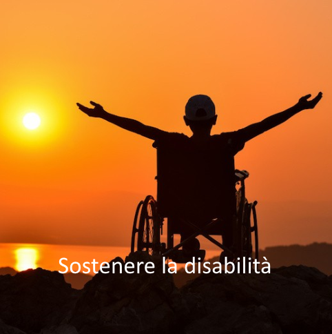 9 Sostenere disabilita